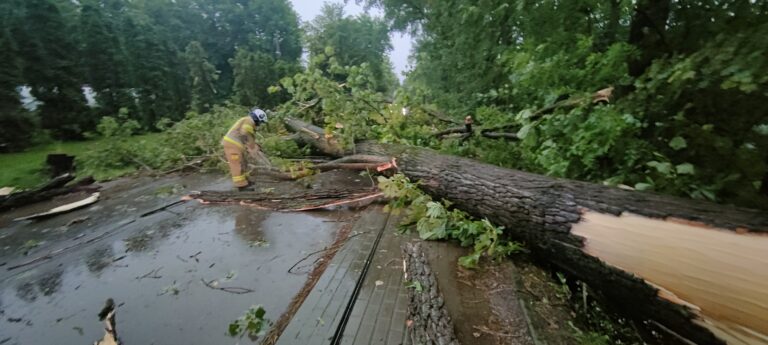 517124846 1139982718166138 1604956853701094812 n