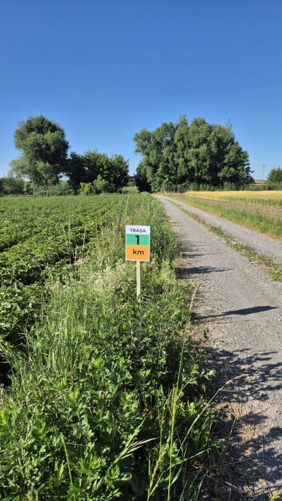 Gotowi Na Sportową Przygodę W Urzejowicach? Zobaczcie, Co Czeka Na Uczestników Galicyjskiej 10-Tki 2 517155781 122277996914226451 4443854273223495974 N