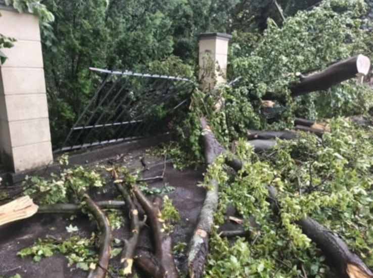 517370749 1327676106025526 164717235235055355 n