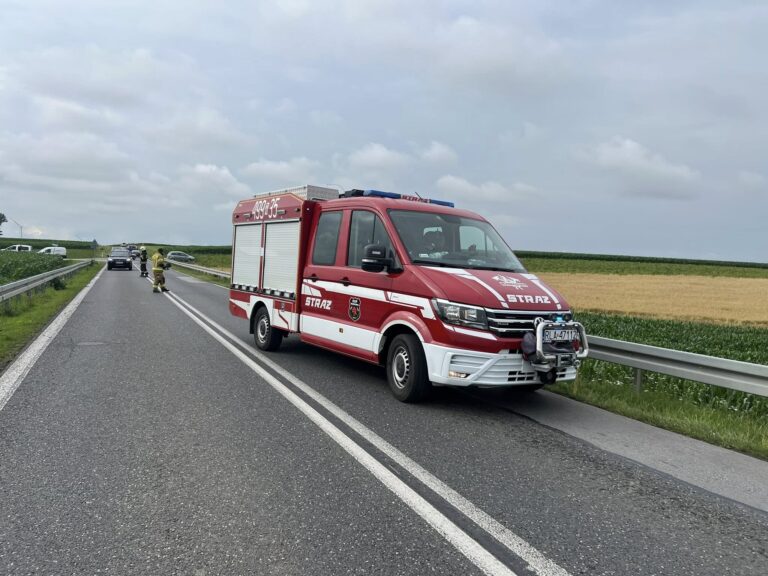 517405366 1147609997403410 1096604129589453969 n