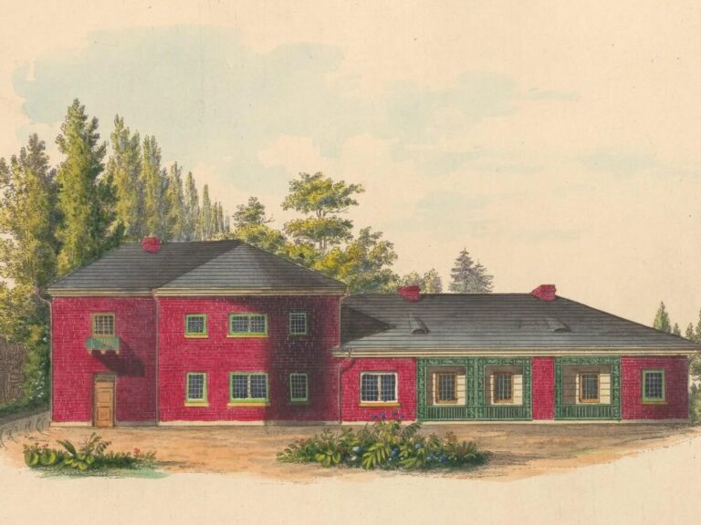 517410813 1268144938348747 6481538534105722722 n