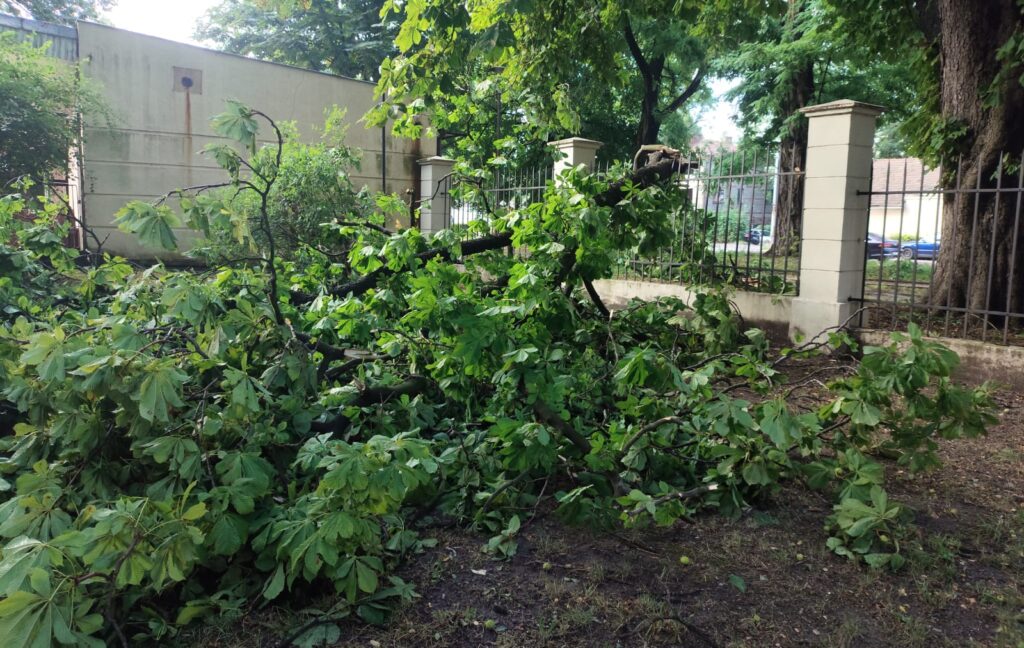 517423874 1294938062639794 3016337759001233602 n