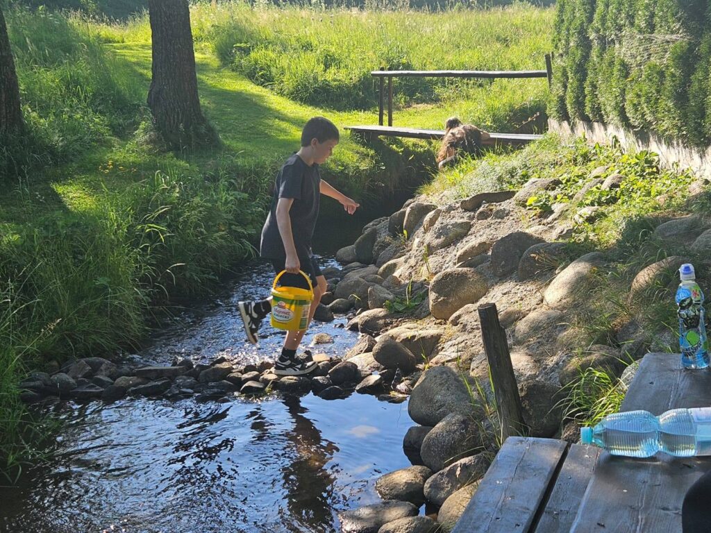 517715444 1324880832976624 5490894820294367033 n