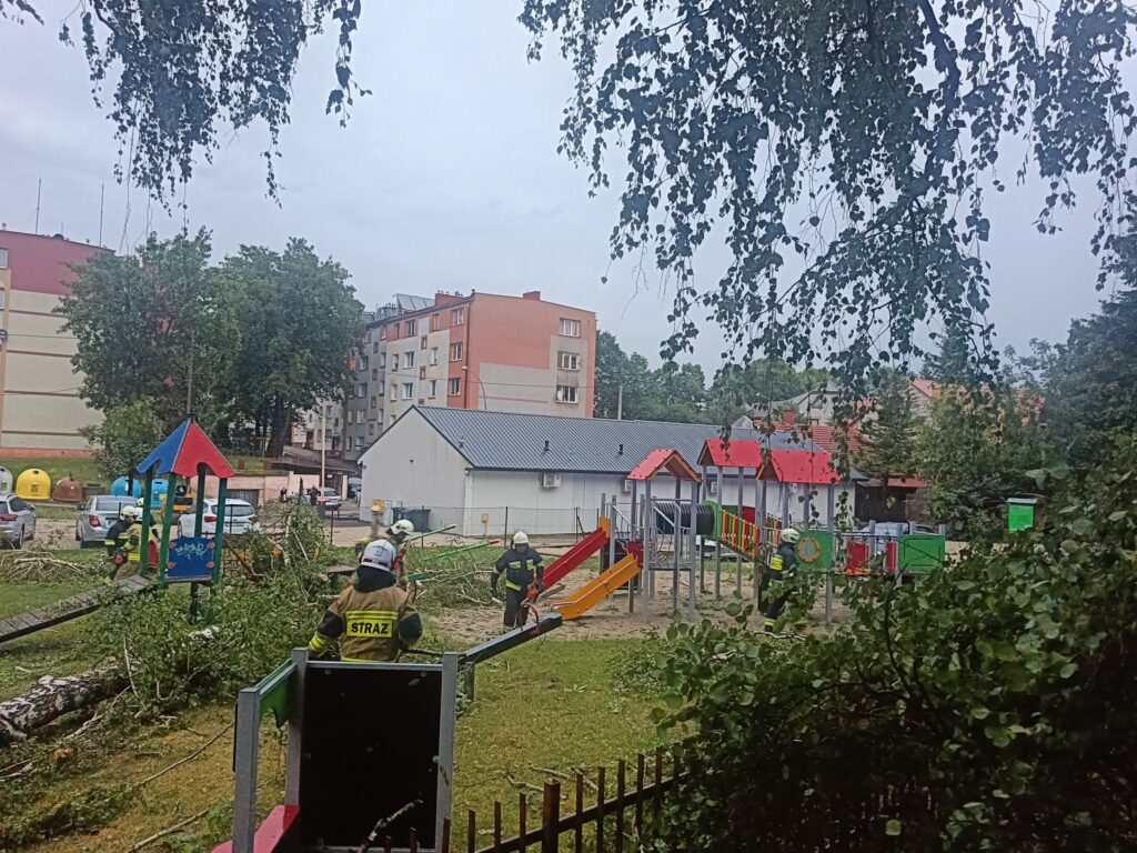 518116911 1244560904132227 6413797312900503428 n