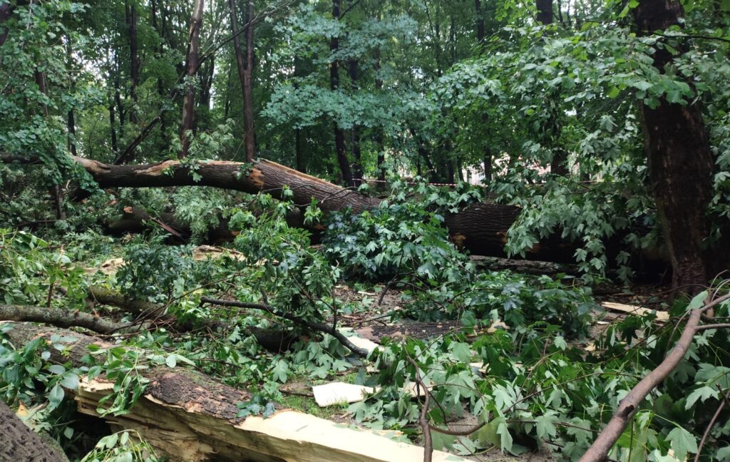 518184873 1294938192639781 8235407096099003560 n