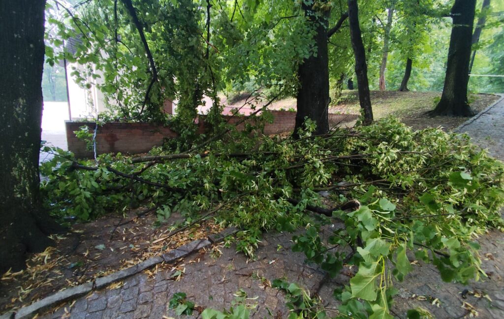 518265483 1294937999306467 5817386170319301584 n