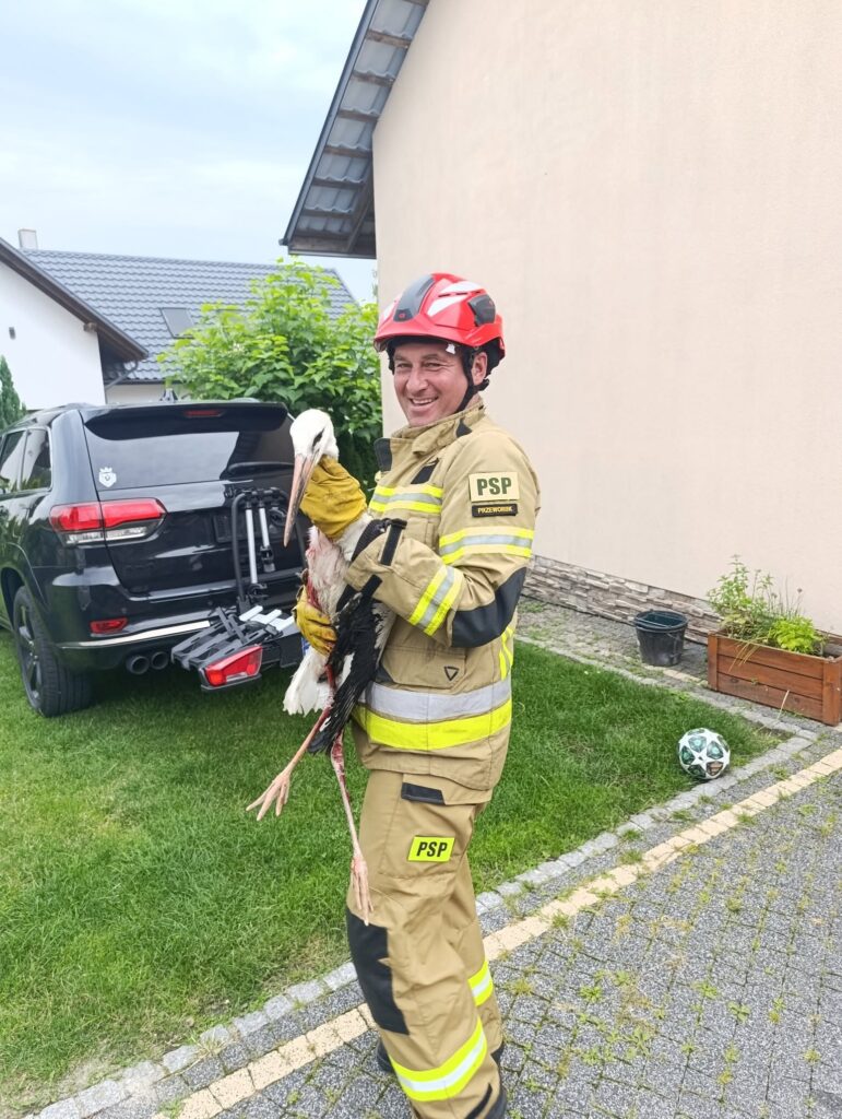 518280700 1048290100791495 849277108955583874 n