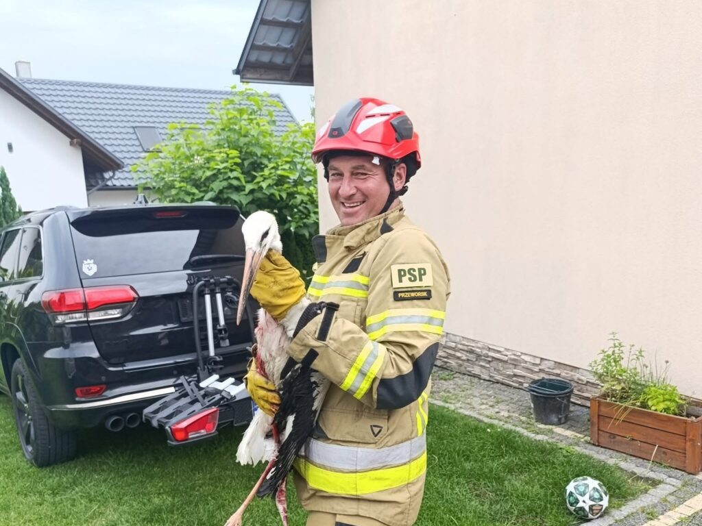 518280700 1048290100791495 849277108955583874 n