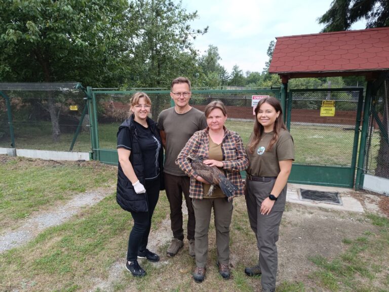 518304361 1160855372747697 8007055464929386027 n