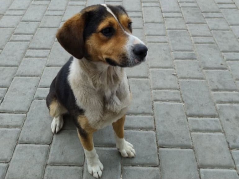 518312560 1143621907806322 4007234787962037621 1n