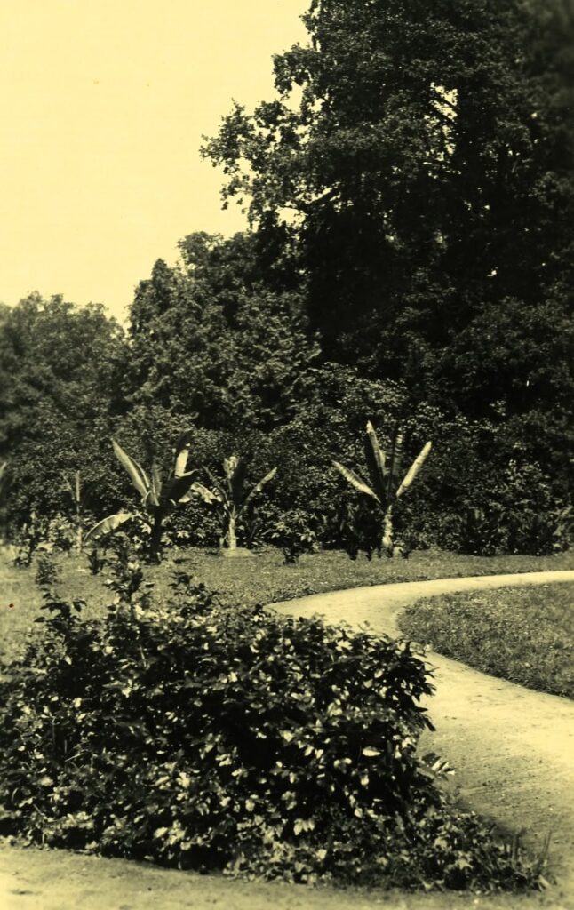 518332793 1304165111717089 8239032862618416889 n