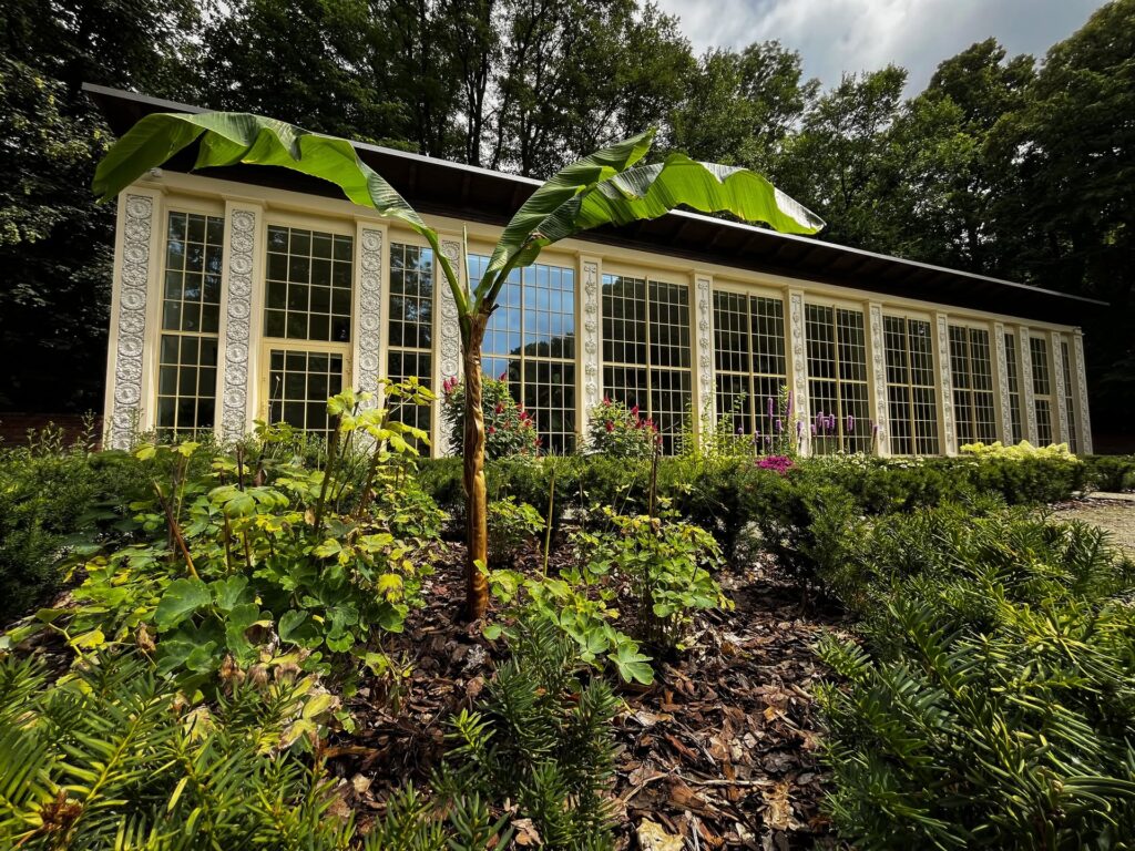 518365299 1304165145050419 6686701366920603504 n