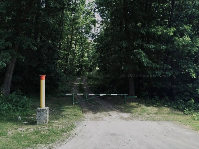 518372927 1051167777170394 6501307369577234696 1n