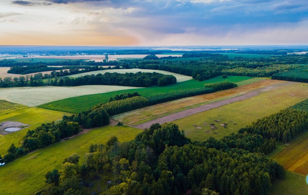 518378314 1046906757624086 1154547089244961937 n 518378314 1046906757624086 1154547089244961937 n