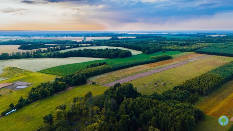 518378314 1046906757624086 1154547089244961937 n