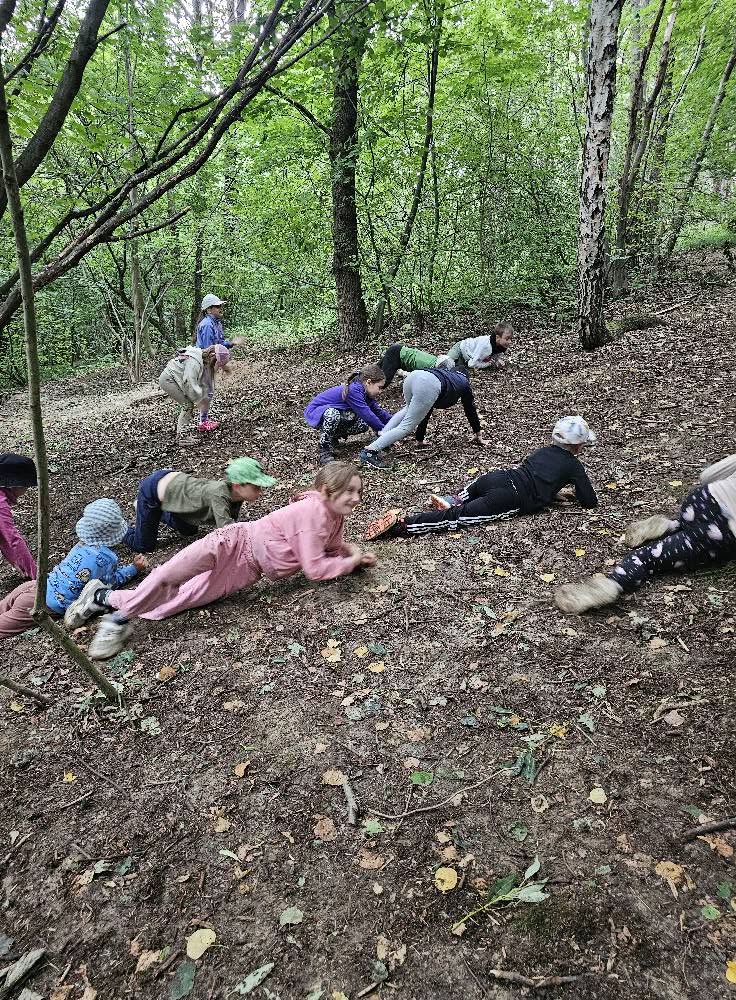 518410362 1155383983301041 1835888937050197264 n