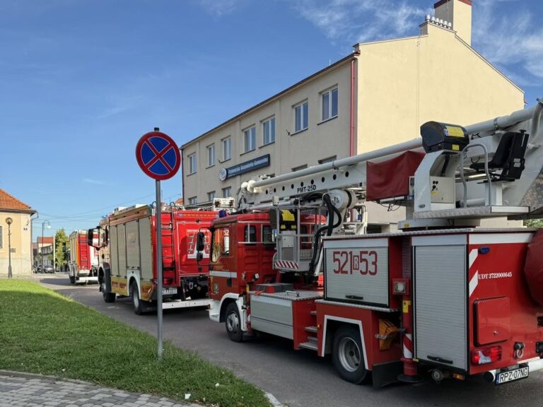 518416577 1053374000283105 74836940038113786969 n