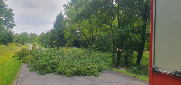 519432941 1059995786247327 3498850339804204016 n