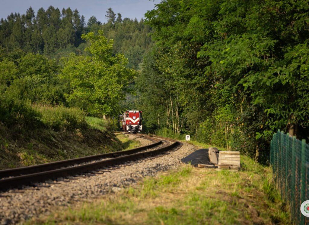 523302843 122137656938416608 6106433583688744236 n