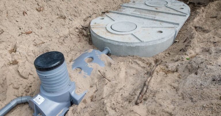 523378301 1196333342537499 105503099021611884 n