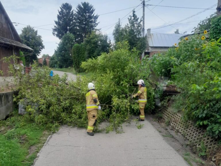 524318933 1155251803305896 5294830317372494801 n1