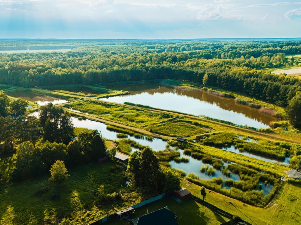 524395241 1054230826891679 803989512130735124 n