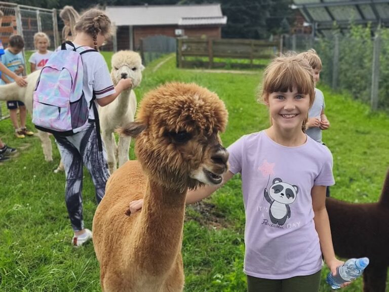 524597238 709367838582867 6252638633590026879 n