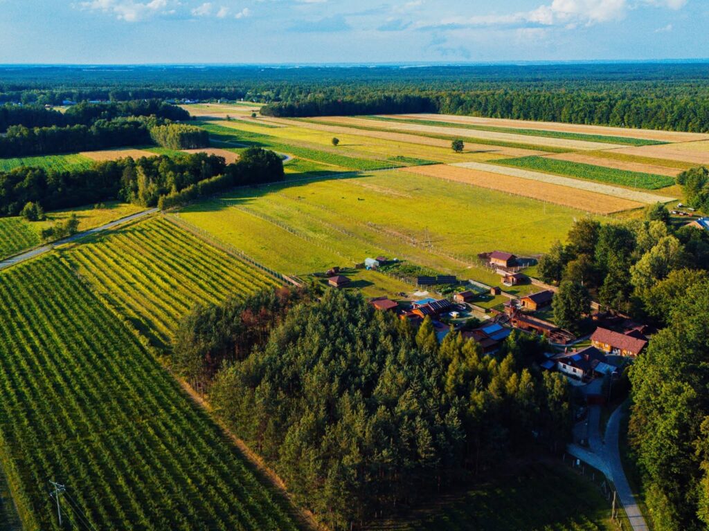 524606978 1054231120224983 7560267199685366522 n