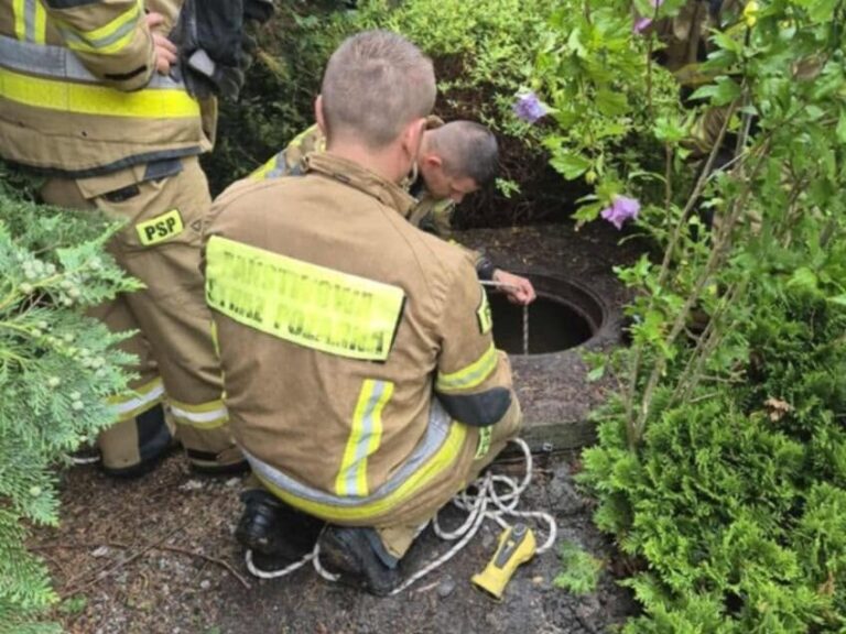 525060089 1056248749995630 5336084517878422852 n