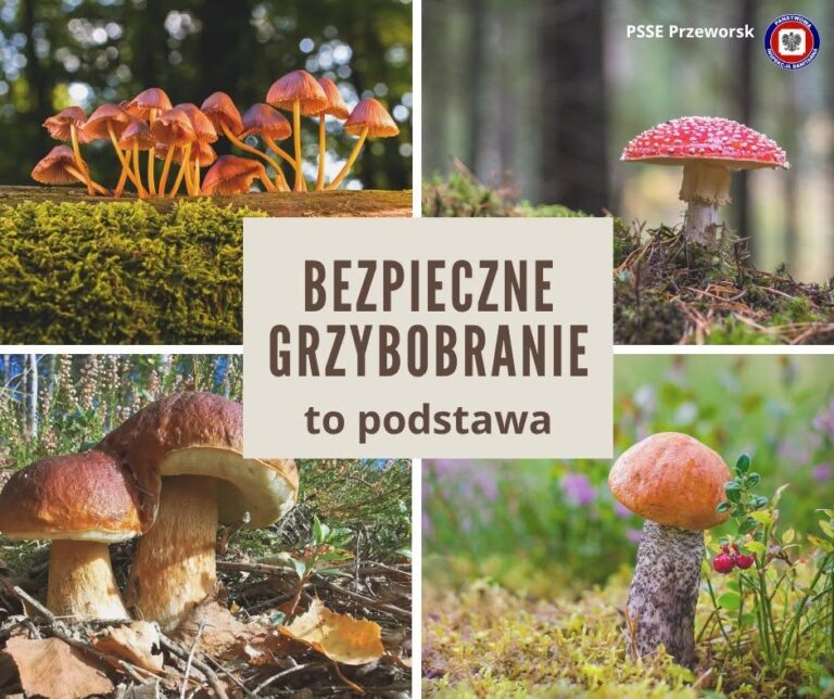 525634651 772620831829261 5075750480584625593 n