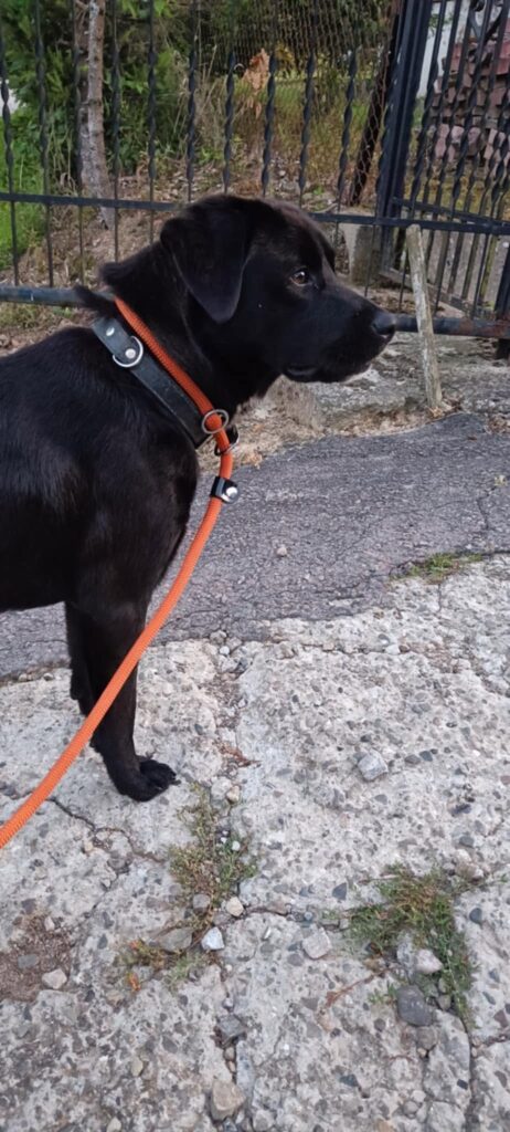 525894591 122183866946310265 6468665665025841263 n