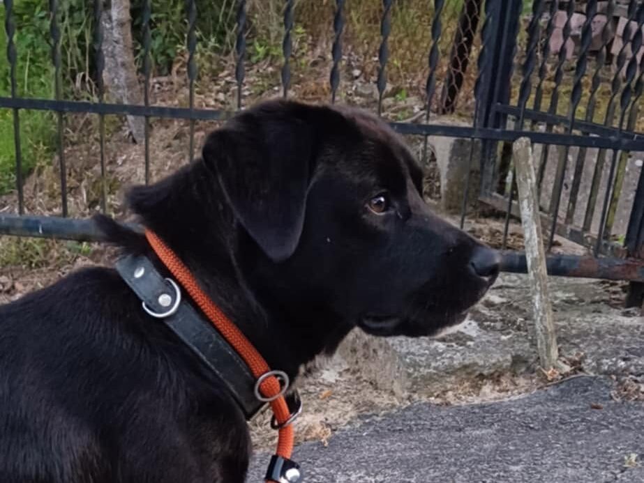 525894591 122183866946310265 6468665665025841263 n