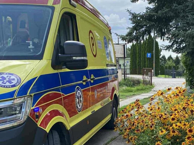 526208684 758205586856925 7242740822757531530 n