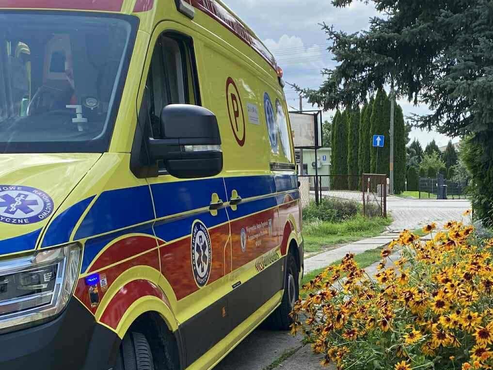 526208684 758205586856925 7242740822757531530 n