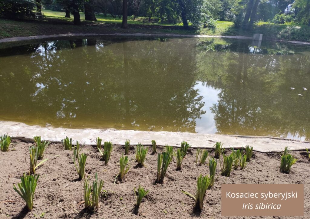 526593768 1315681920565408 7418215446982694061 n