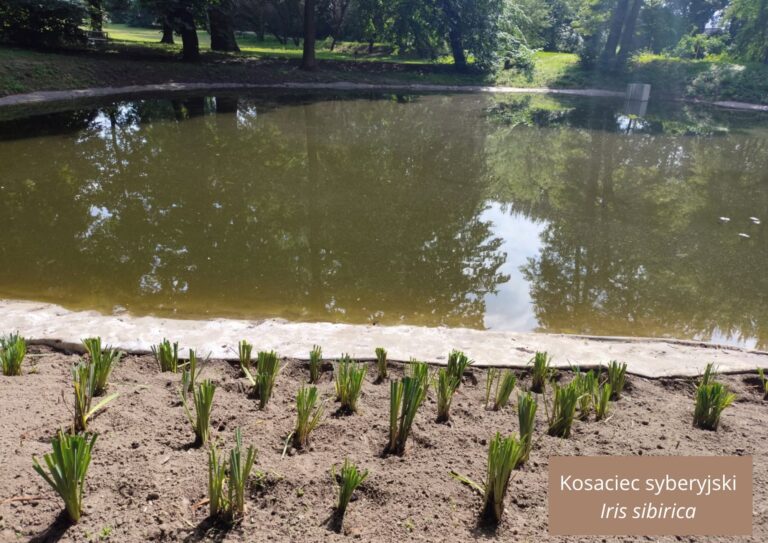 526593768 1315681920565408 7418215446982694061 n