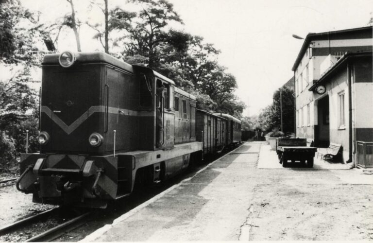 mp f 7780 pociag osobowo towarowy odjezdzajacy ze stacji przm