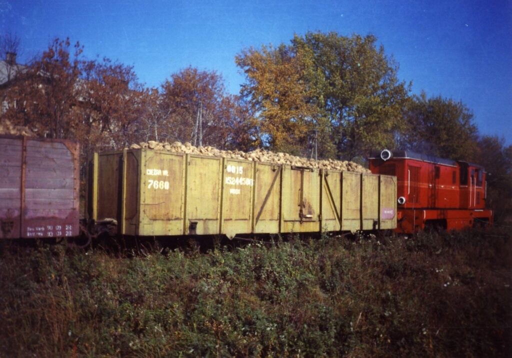 Dlaczego Pogórzanin, A Nie Dynówka? Niezwykła Historia Kolejki, Którą Napędzały... Buraki I Pasja 3 Mp F 7784 Transport Burakow Do Cukrowni Przeworsk. Fot. J. Bm