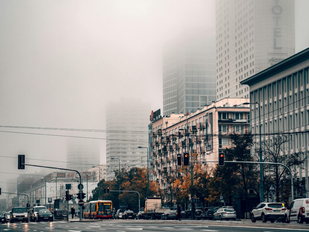 pexels borkography 5650626