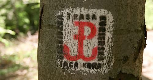 11188915148431119161