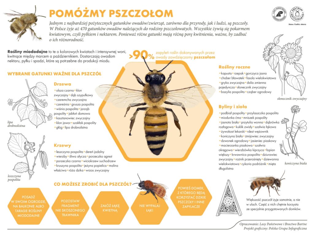 473445036 1585959238694819 7420477320779932867 n