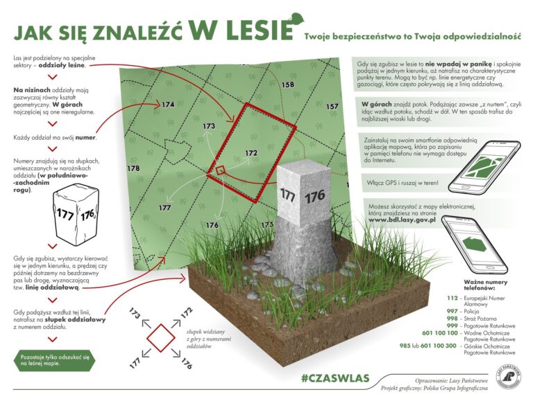 473589530 1585976105359799 3798286920463306915 n