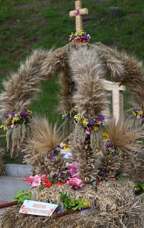 515505083 1161467046014447 3050176901772076577 n