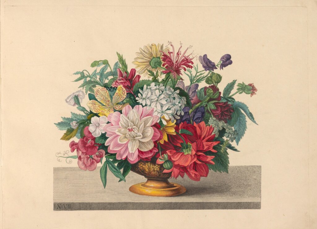 515508269 1291581172671790 4726012159326991138 n