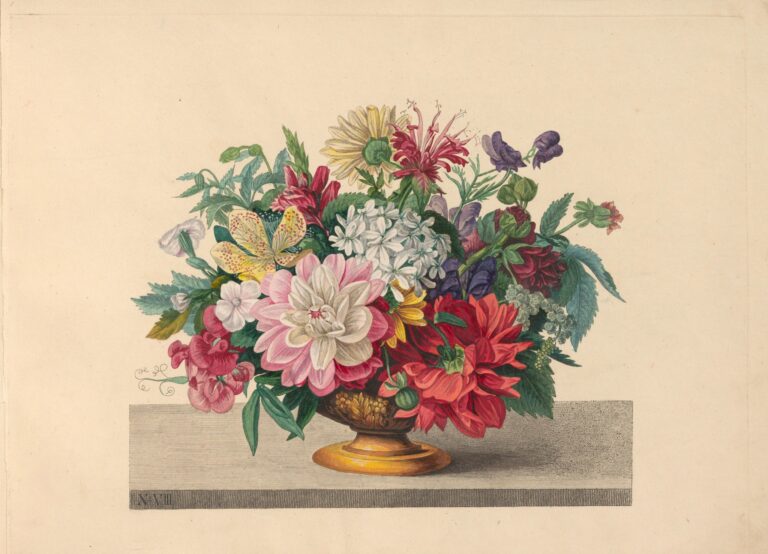 515508269 1291581172671790 4726012159326991138 n