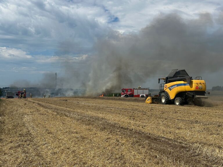 518405551 1165048598992883 272761855872040084 n