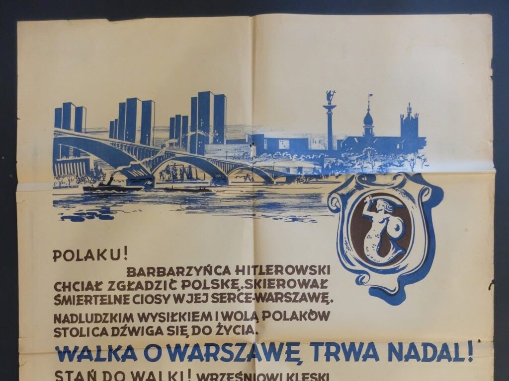 526317849 1316597587140508 8385068751275759006 n