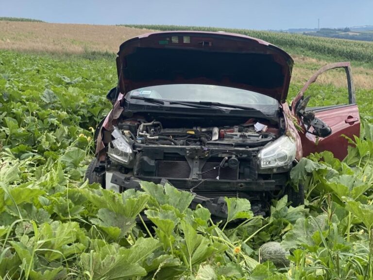 526937978 1068251228751527 1048546761243580091 n1