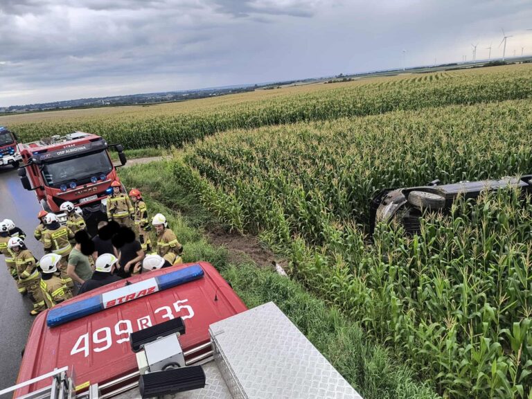 527249674 1159937162837360 2645056595577857278 n