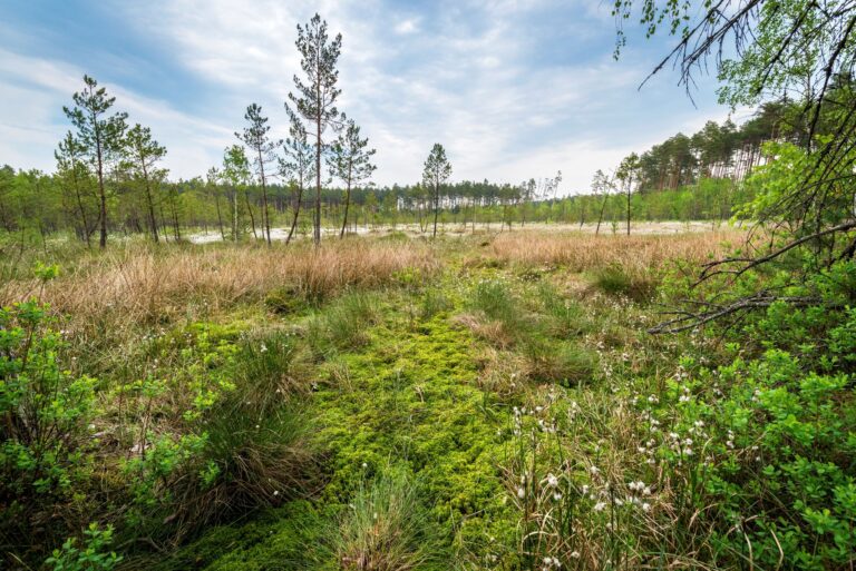 528289234 1180297030793843 4452091816166600257 n